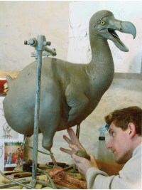 Dodo in clay by Reconstruction: Dodo