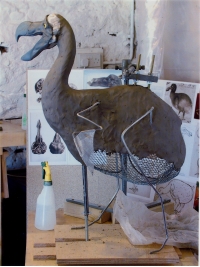 Dodo Armature by Reconstruction: Dodo