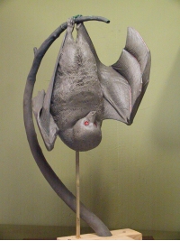 Fruit Bat Armature by Reconstruction: Lesser Mascarene Fruit Bat