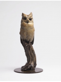Mauritius Scops Owl by Nick Bibby