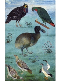 Birds in the Menagerie of Jahangir by Research: Dodo