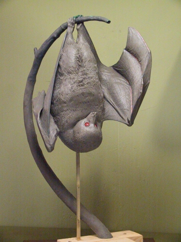 Fruit Bat Armature