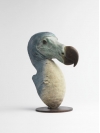 Dodo Head