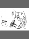 Fruit Bat Sketches 1 by Research: Lesser Mascarene Fruit Bat